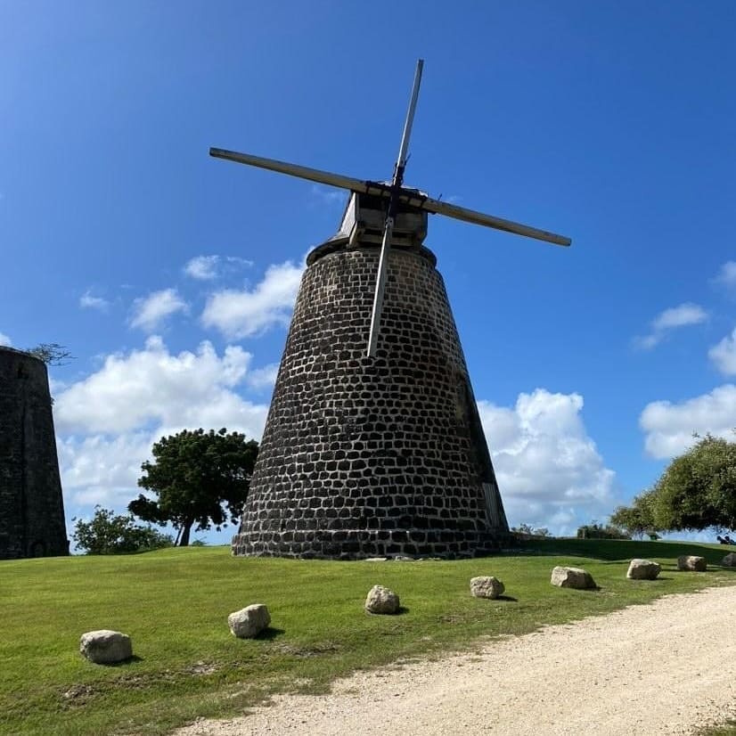 133538265_1906608476144488_401881696213085870_n