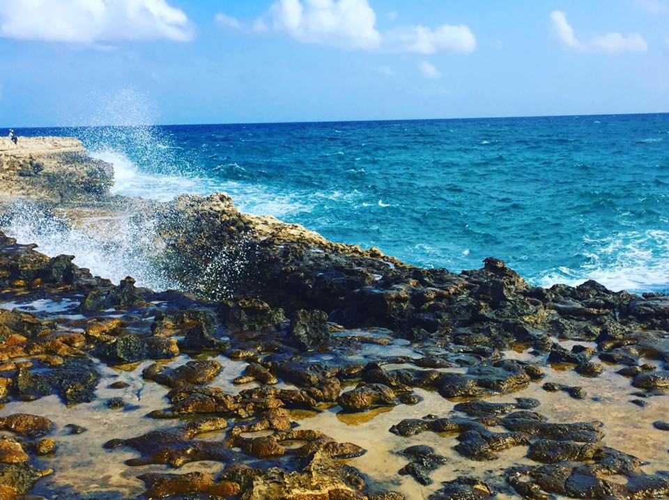 15965924_834259720046041_8970833877466226049_n