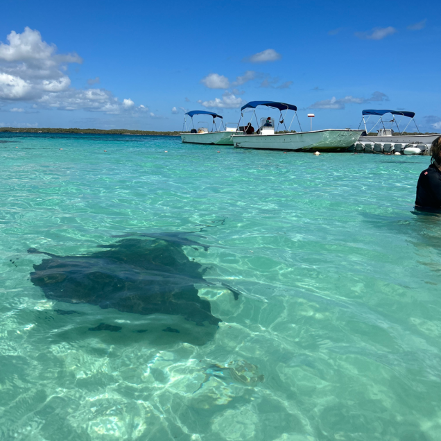 Stingray City